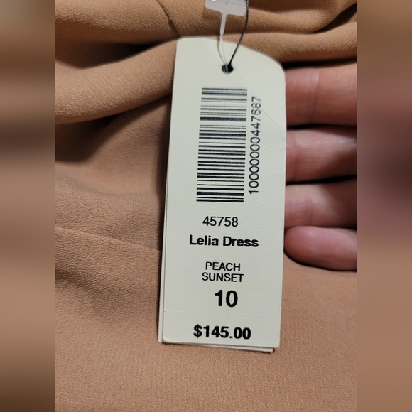 Wilfred Dress - Picture 3 of 8